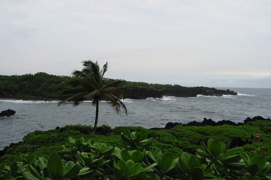 ../image/waianapanapa park 2.jpg